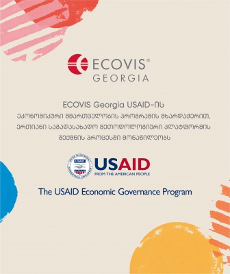 ECOVIS Georgia participates in the process of creating a unified tax technology platform